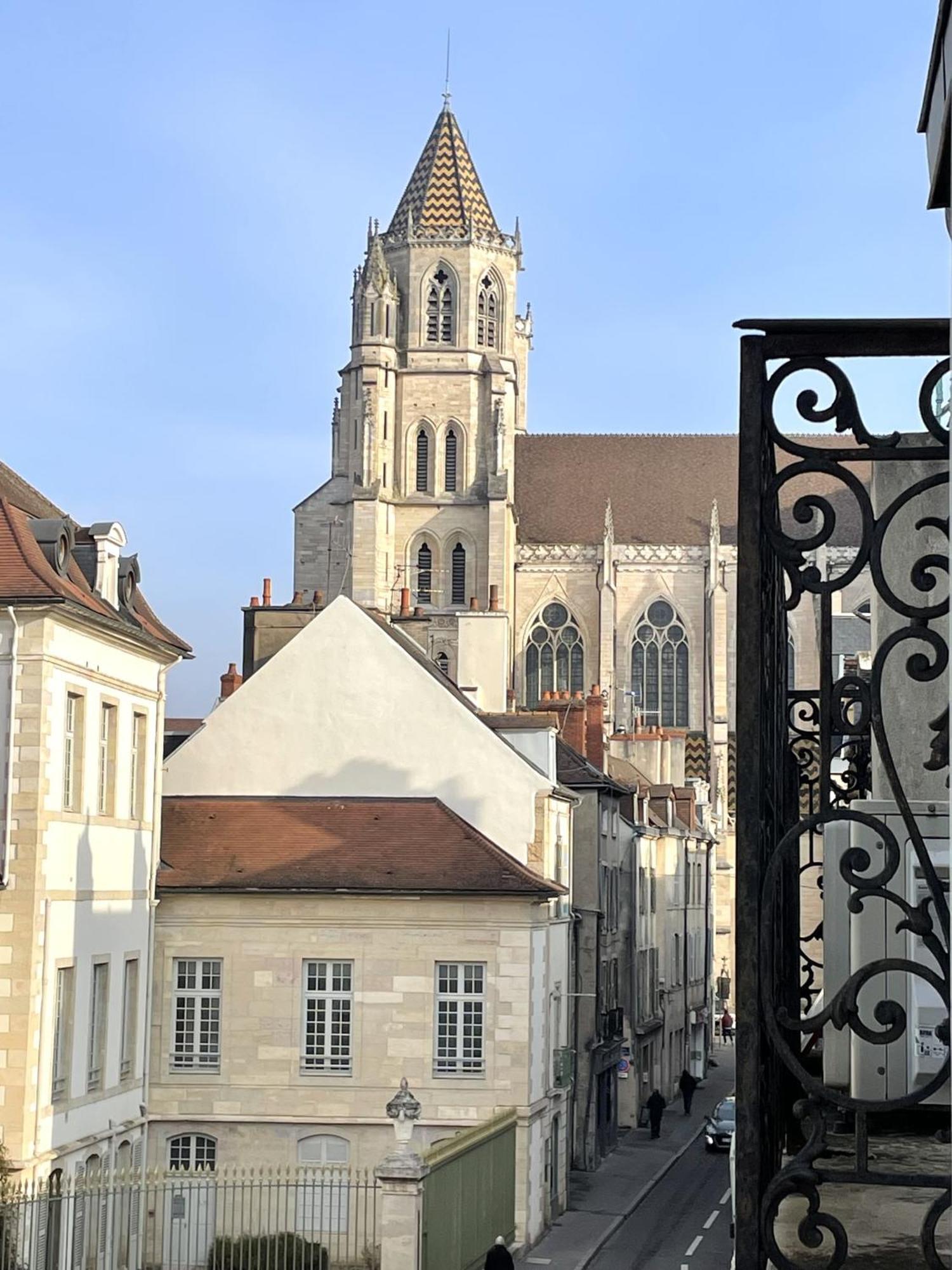 Sous Le Chene Bleu - Appartement Cosy Au Coeur De Dijon Exteriér fotografie